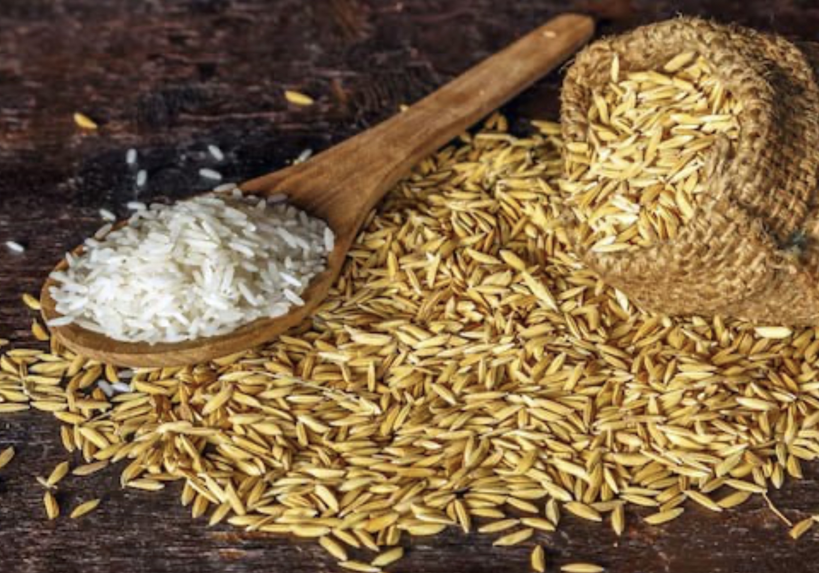 Need 300 MT of Basmati Rice (1121) image